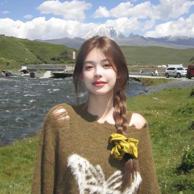 鹿特丹大轰炸