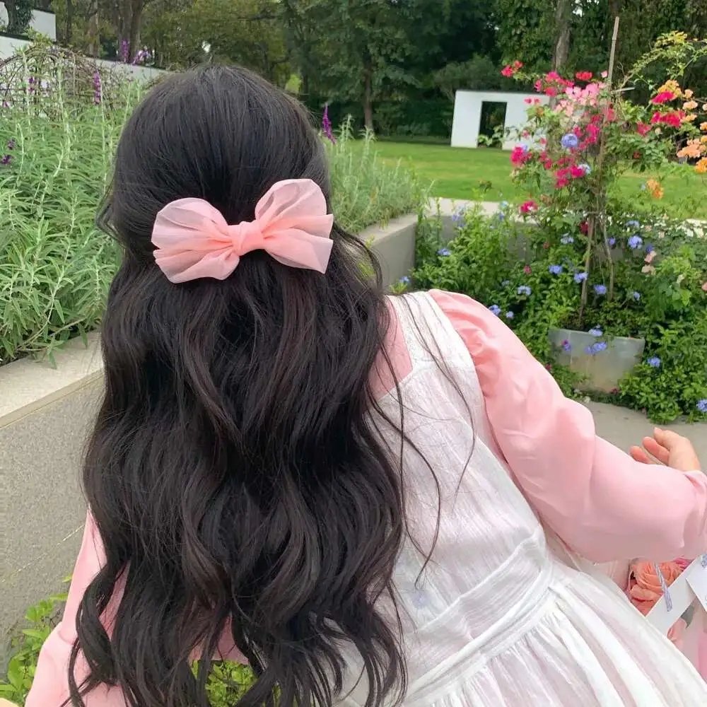 和离后，她带崽嫁入太子府